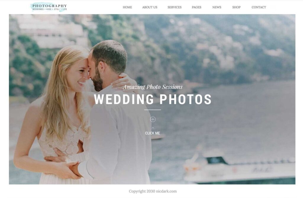 Wedding Website Samples